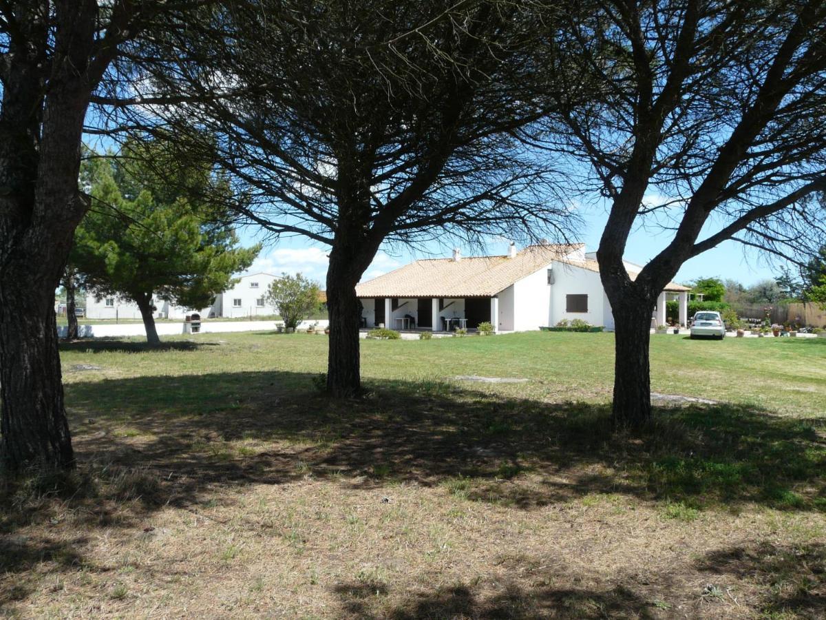 Mas Du Clos De La Barque Saintes-Maries-de-la-Mer Zewnętrze zdjęcie